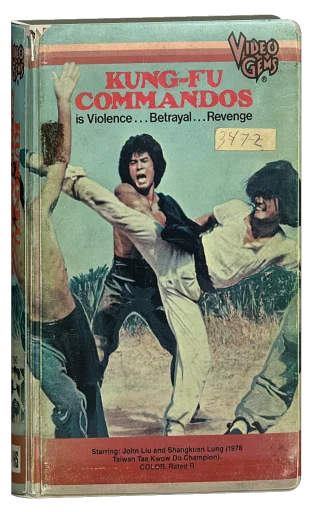 Incredible Kung Fu Mission (1979)