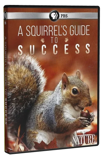A Squirrel's Guide to Success (2018)