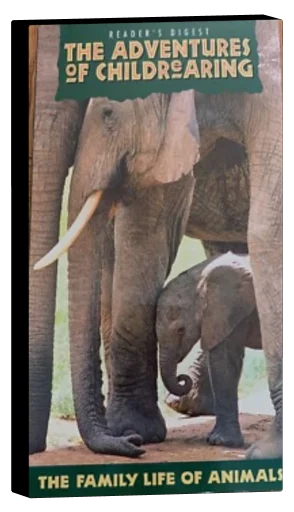The Adventures of Child Rearing: The Family Life of Animals (1998)