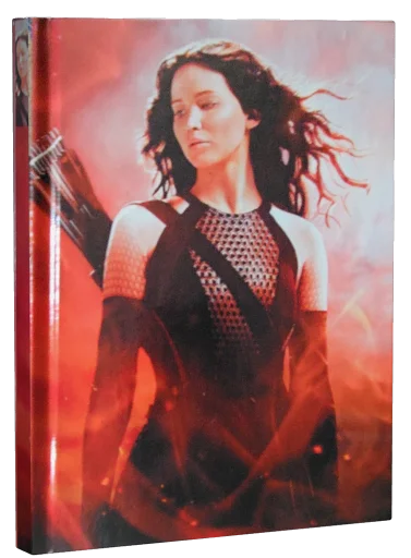The Hunger Games: Catching Fire Blu-ray, Lionsgate