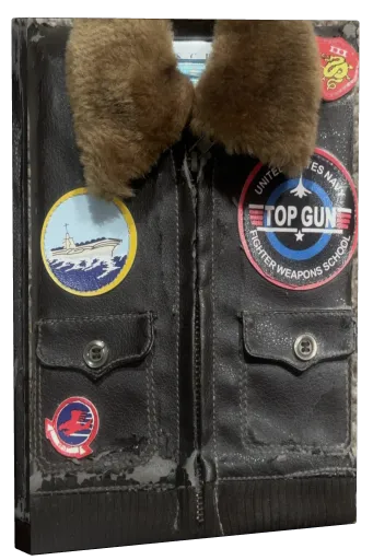 Top Gun DVD