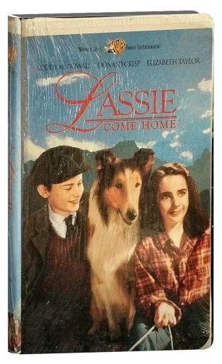 Lassie Come Home (1943)