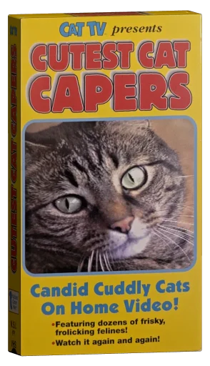 Cutest Cat Capers (1995)