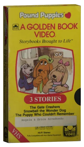 Pound Puppies: A Golden Book Video VHS cover