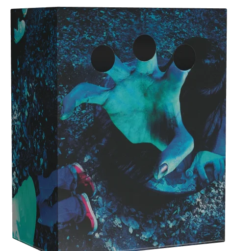 Sadako 3D 2 (2013)