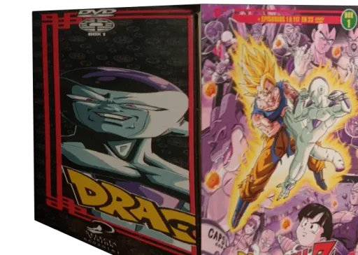 Dragon Ball Z DVD, Selecta Visión