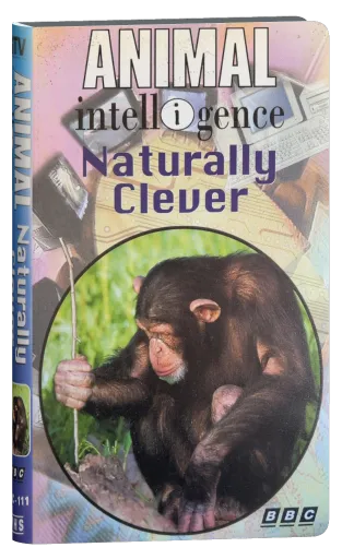 Animal Intelligence VHS cover