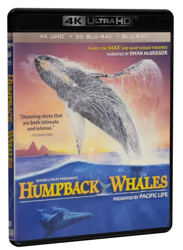 Humpback Whales (2015)