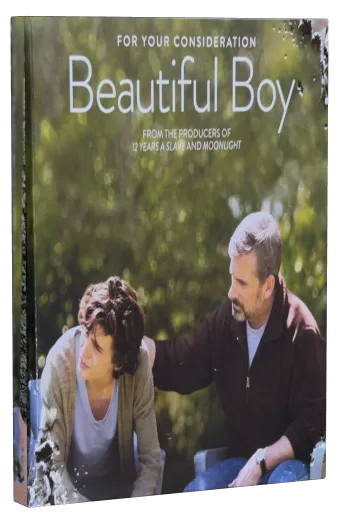 Beautiful Boy DVD cover