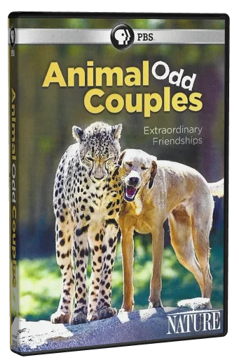 Animal Odd Couples (2013)