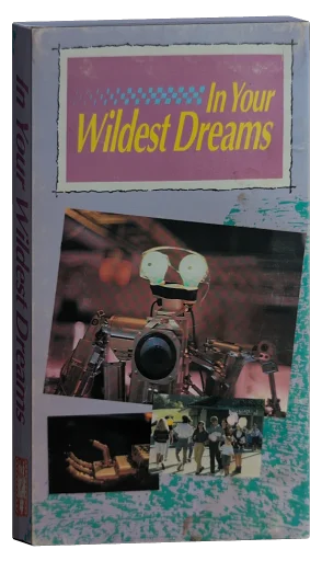 In Your Wildest Dreams (1991)
