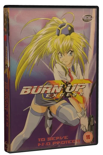 Burn-Up Excess (1997)