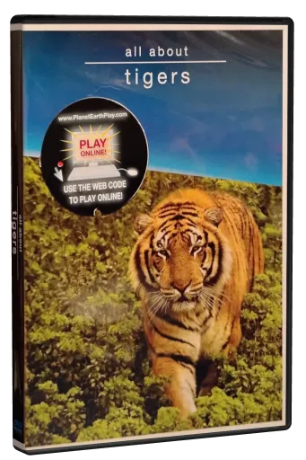 All About Tigers DVD cover
