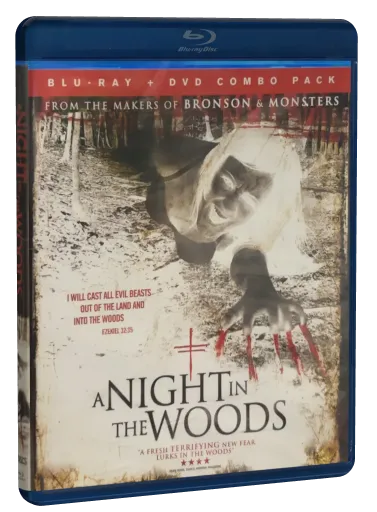 A Night in the Woods (2011)