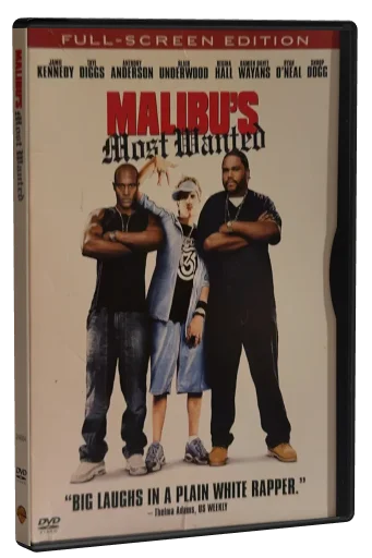 Malibu's Most Wanted (2003)