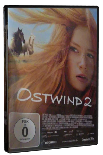 Windstorm 2 (2015)