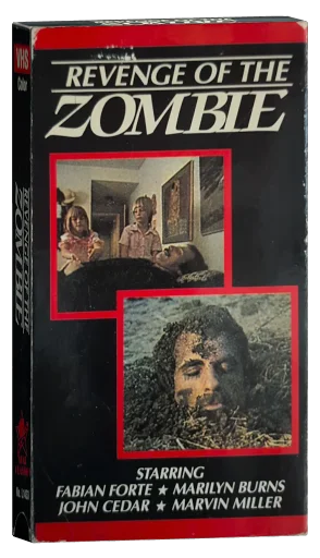 Kiss Daddy Goodbye VHS cover
