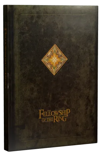 The Lord of the Rings: The Fellowship of the Ring DVD, New Line Home Entertainment