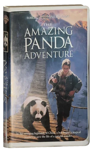 The Amazing Panda Adventure (1995)