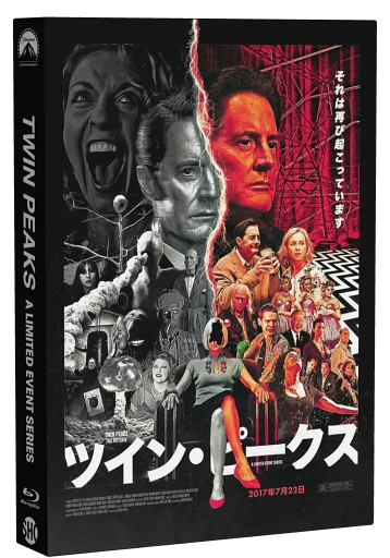 Twin Peaks DVD, Media