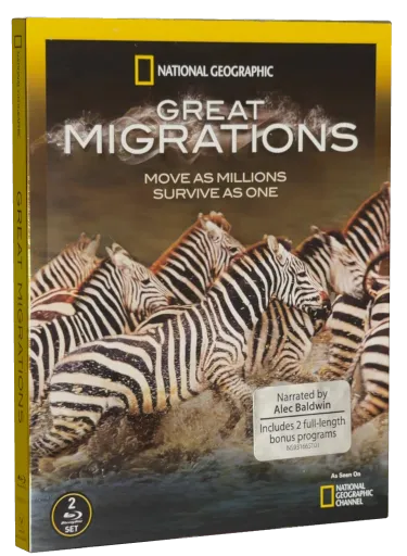 Great Migrations (2010)