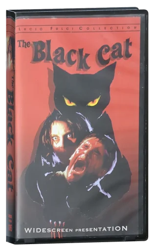 The Black Cat (1981)