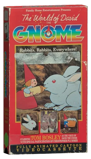 The World of David the Gnome (1985)