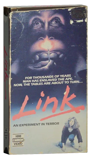 Link VHS, HBO Cannon Video