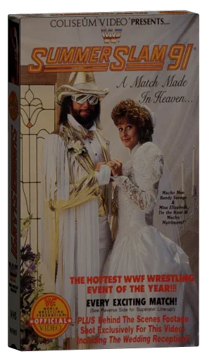 WWE SummerSlam 1991 (1991)
