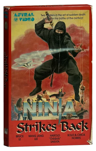 Bruce Strikes Back (1982)