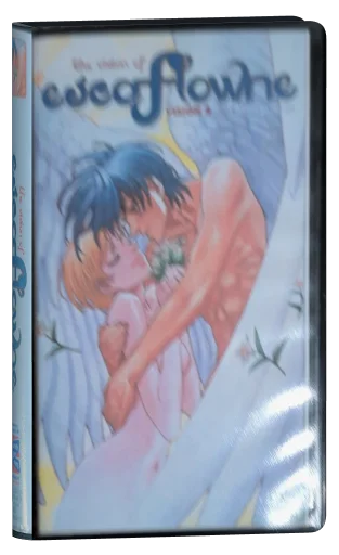 The Vision of Escaflowne (1996)