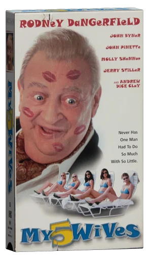 My 5 Wives (2000)