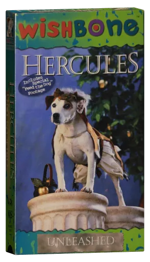 Wishbone VHS, Lyrick Studios