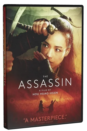 The Assassin (2015)