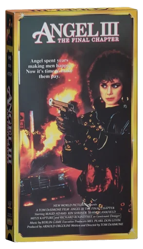 Angel III: The Final Chapter (1988)