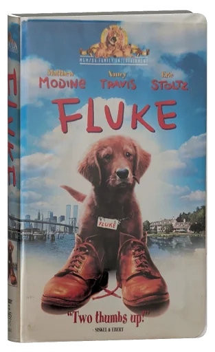 Fluke (1995)