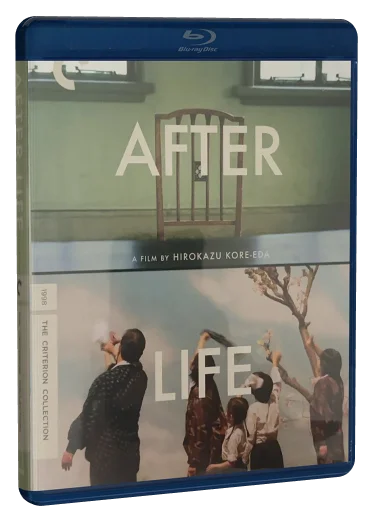 After Life (1999)